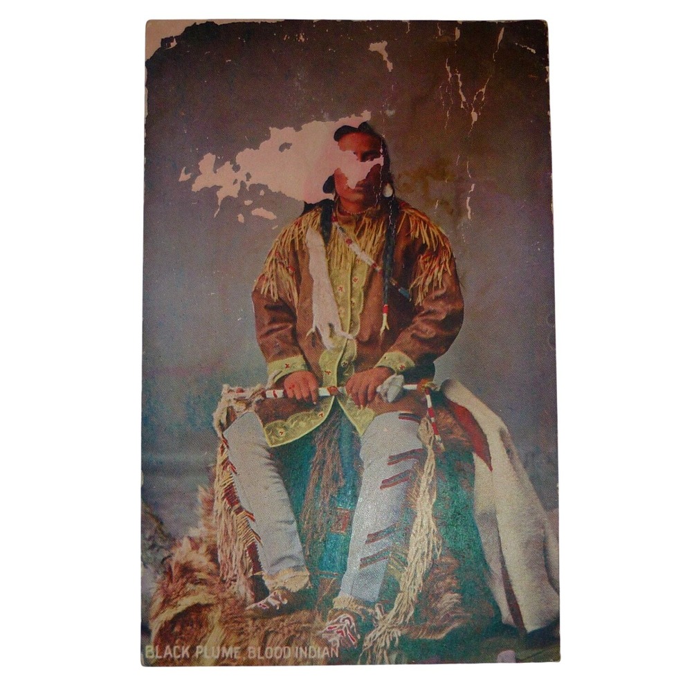 Vintage 1907 Black Plume Blood Indian Postcard Troilene Series MacFarlane 1907